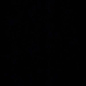 Meet your Posher, Max